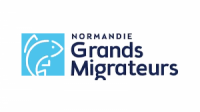 Normandie Grands Migrateurs (NGM)